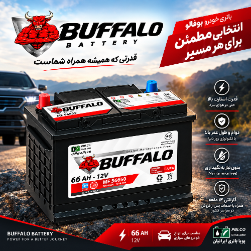 55 آمپر بوفالو 2